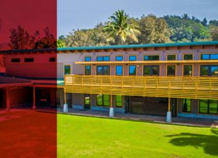 website header image of the building view from the outside grass area