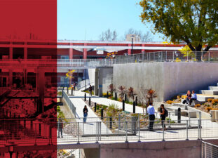 Outdoor central terrace with students walking and lounging