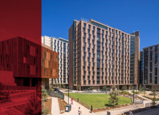 iew across a courtyard to the three residential buildings and the economics building
