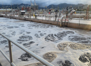 activated sludge seeding