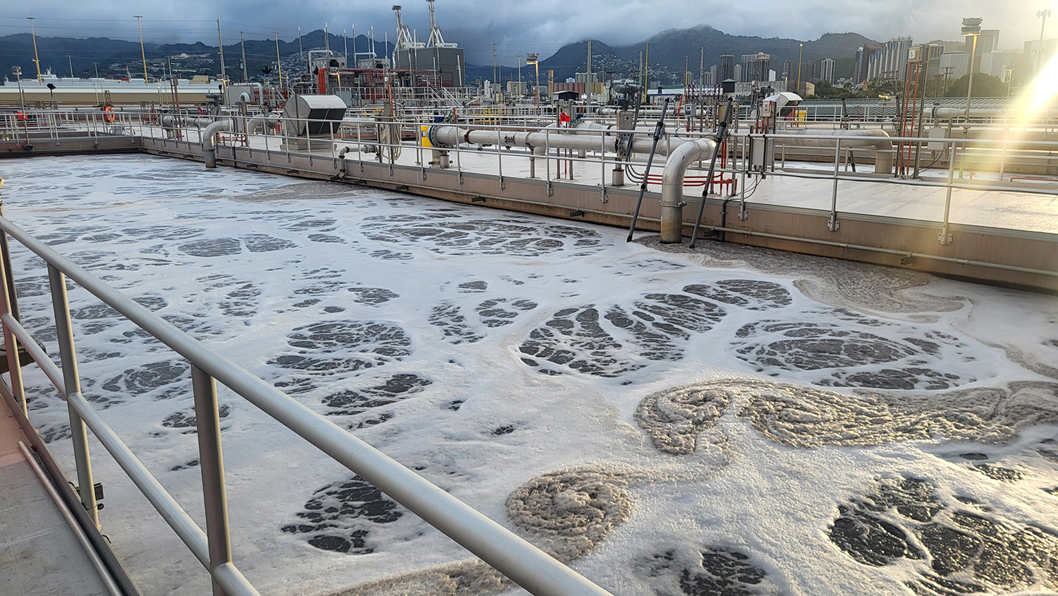activated sludge seeding